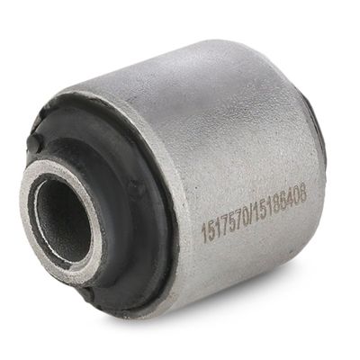 тампон, носач RIDEX 251T0619