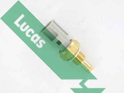 SENZOR TEMPERATURA LICHID DE RACIRE LUCAS SNB232