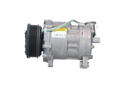 COMPRESOR CLIMATIZARE BV PSH 090205076876 1
