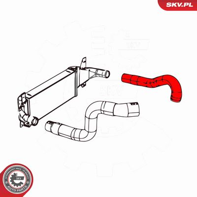 FURTUN EAR SUPRAALIMENTARE ESEN SKV 43SKV258 3
