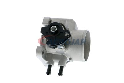 CARCASA CLAPETA ACKOJA A53810006 51