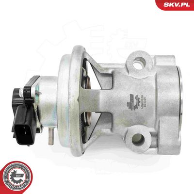 AGR-Ventil SKV 14SKV269
