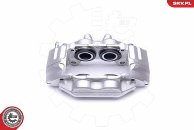 Brake Caliper 50SKV001