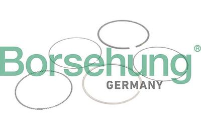 SET SEGMENTI PISTON Borsehung B10373