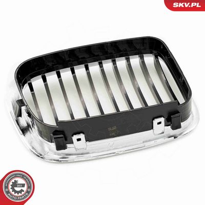 GRILA RADIATOR ESEN SKV 66SKV064 5