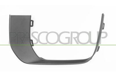 ZIER-/SCHUTZLEISTE KüHLERGITTER