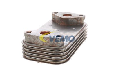 RADIATOR ULEI ULEI MOTOR VEMO V22600043 42