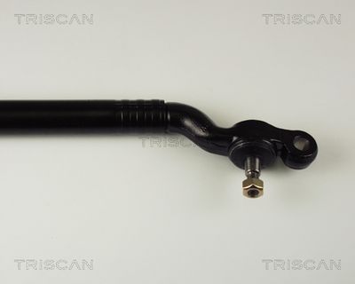 Sporstang TRISCAN 8500 11304