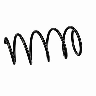 ARC SPIRAL EIBACH R11070 18