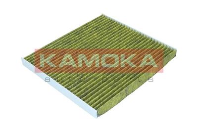 Filter, cabin air 6080140