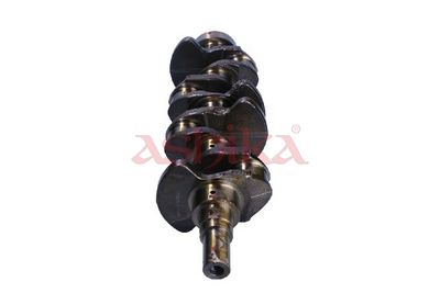 ARBORE COTIT ASHIKA 18MI002 1