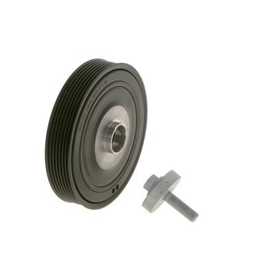 FULIE CUREA ARBORE COTIT BOSCH 1987945610 24