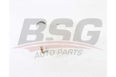 BSG BSG 60-550-011 Розширювальний бачок 