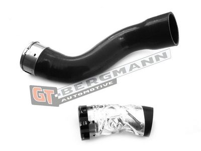 GT-BERGMANN Automotive - Hadica plniaceho vzduchu (hadica turba) RENAULT, DACIA , GT52-243