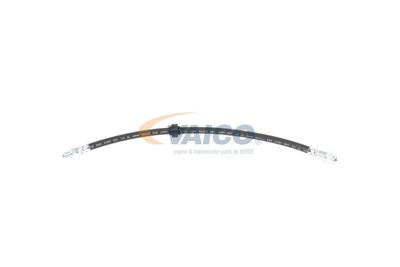 FURTUN FRANA VAICO V460285 11