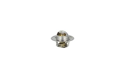 TERMOSTAT LICHID RACIRE NRF 725135 11