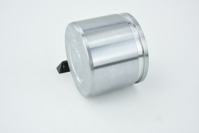 PISTON ETRIER FRANA FEBEST 0176NZE121F 24