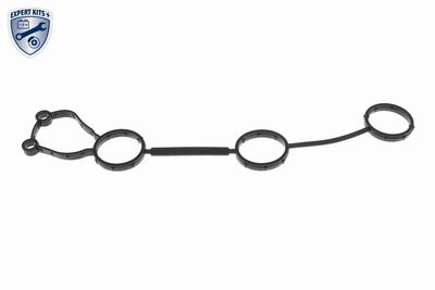 GARNITURA CAPAC SUPAPE