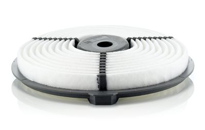 Air Filter C 2223