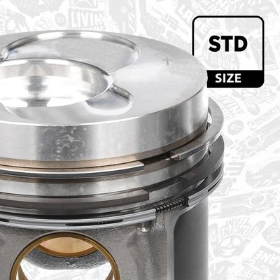 PISTON ET ENGINETEAM PM001900 2