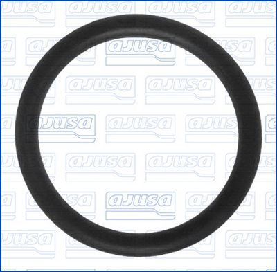 GARNITURA CONDUCTA LICHID DE RACIRE AJUSA 16057100 1