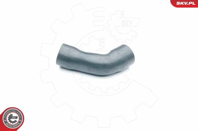 FURTUN EAR SUPRAALIMENTARE