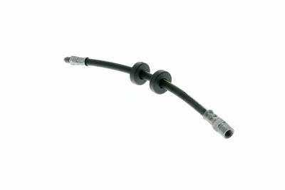 FURTUN FRANA VAICO V101043 2