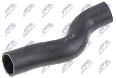 FURTUN EAR SUPRAALIMENTARE NTY GPPPL047 1