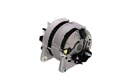 GENERATOR / ALTERNATOR REMANTE 011003000066R 19