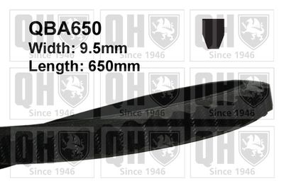 QUINTON HAZELL QBA650 Клиновой ремень  для FIAT BRAVA (Фиат Брава)