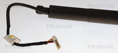 Pneumatická pružina, zavazadlový / nákladový prostor TRISCAN 8710 11376
