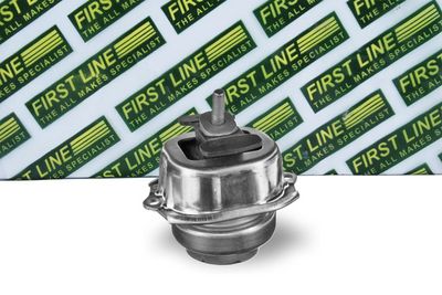 окачване, двигател FIRST LINE FEM4276