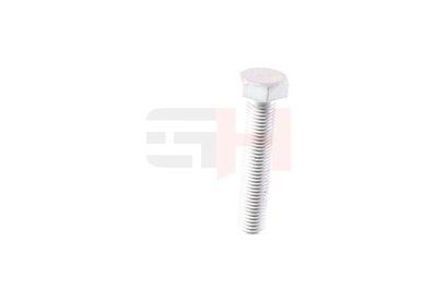 SURUB CAPAT DE AX GH GH392506 32