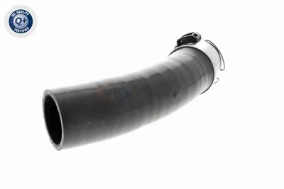 LADELUFTSCHLAUCH VAICO V461198 4