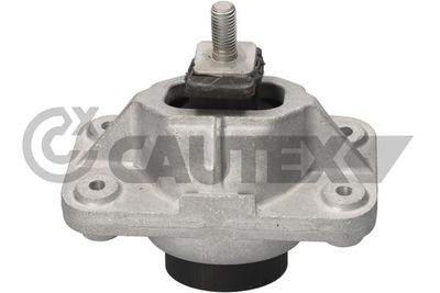 CAUTEX Lagerung, Motor (776958)