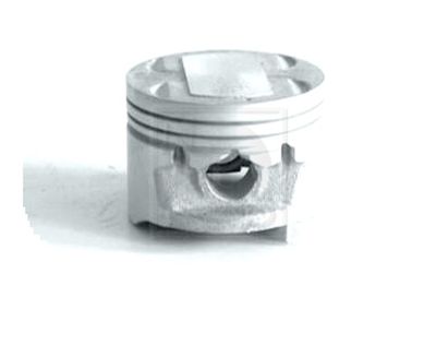 NPS Zuiger (D901O02N)
