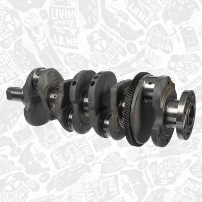 ARBORE COTIT ET ENGINETEAM HK0231 2