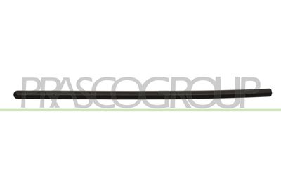 ZIER-/SCHUTZLEISTE TüR