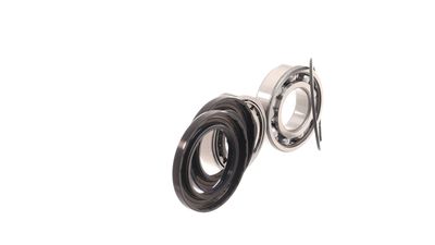 SET RULMENT ROATA SKF VKBA910 25