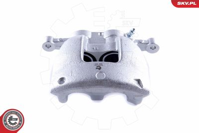 Brake Caliper 50SKV021