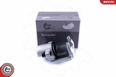 Brake Caliper 55SKV601