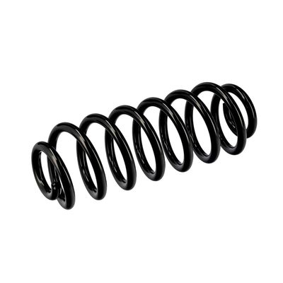 ARC SPIRAL EIBACH R10673 17