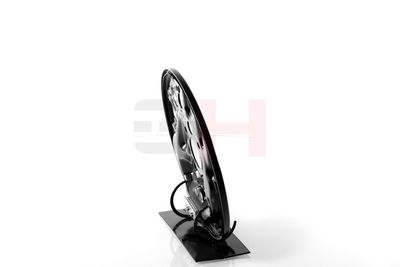 PROTECTIE STROPIRE DISC FRANA GH GH484325H 21