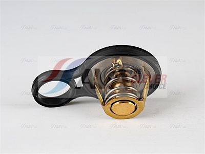 TERMOSTAT LICHID RACIRE