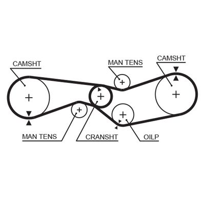 Timing Belt GATES 5009