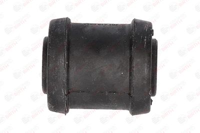 BUCSA ARBORE DE DIRECTIE BIRTH 4817 7