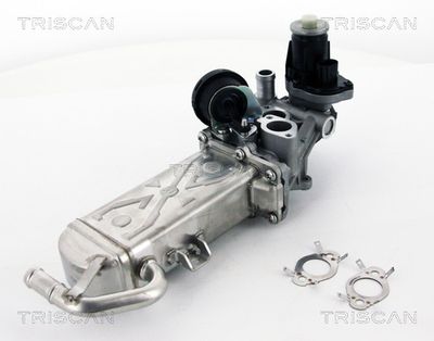 AGR-Ventil TRISCAN 8813 29102