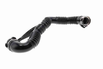 FURTUN EAR SUPRAALIMENTARE