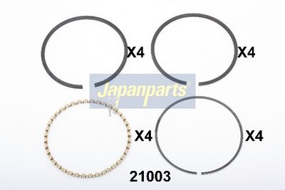 SEGMENT PISTON