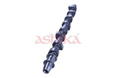 AX CU CAME ASHIKA 16TY016 2